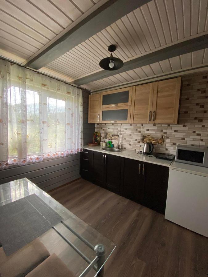 Кришталеві Вершини Villa Vorokhta Eksteriør bilde